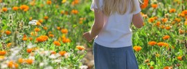 Primavera